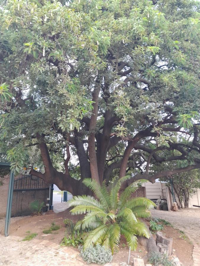 Edenvale Guest House Esterno foto